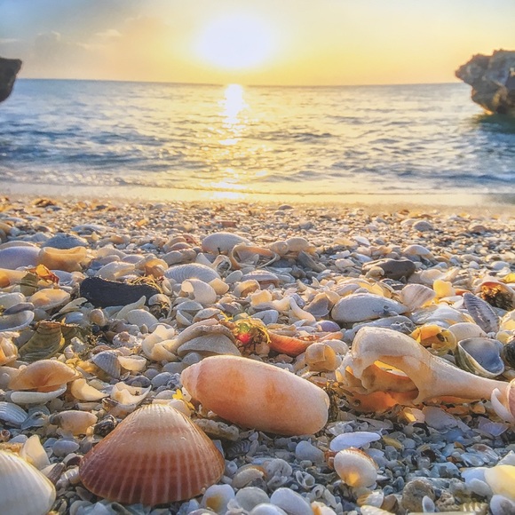 💖Meet your Posher, Eva Like my Closet to Follow! - Picture 4 of 16